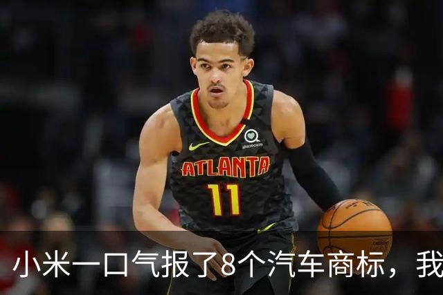 小米一口气报了8个汽车商标，我把名字排了一遍，发现一件事！